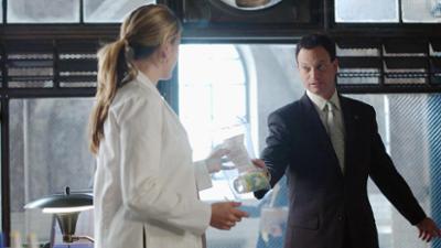 CSI: New York: Folge 17: Absturz