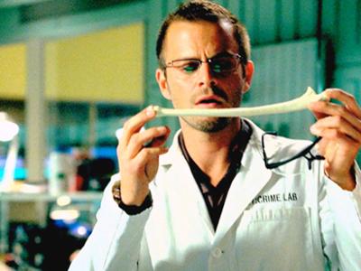CSI: NY: Staffel 3, Folge 10: Die Vögel
