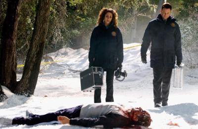 CSI: NY: Staffel 1, Folge 13: Schlagkräftig