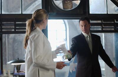 CSI: NY: Staffel 1, Folge 17: Absturz