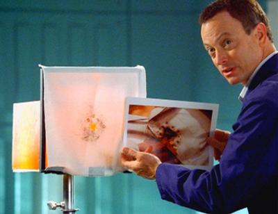 CSI: NY: Staffel 2, Folge 6: Eine Ladung Schrot