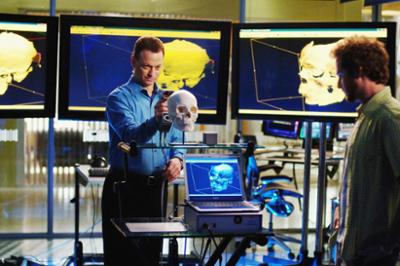 CSI: NY: Staffel 2, Folge 20: Grünes Grab