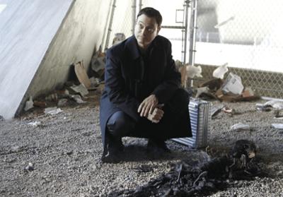 CSI: NY: Staffel 8, Folge 10: Champion