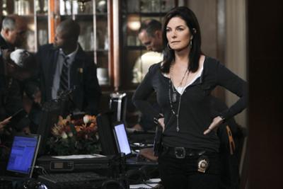 CSI: NY: Staffel 8, Folge 12: Undercover