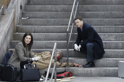 CSI: NY: Staffel 8, Folge 13: Der Domino-Effekt