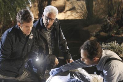 CSI: Vegas: Staffel 13, Folge 20: Der Stolz des Adlers