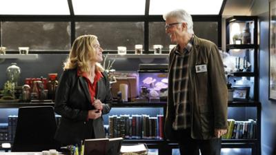 CSI: Vegas: Folge 15: Der Herr im Haus