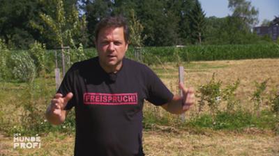 Der Hundeprofi: Folge 4: Großpudel "Anton" jagt seinen eigenen Schatten