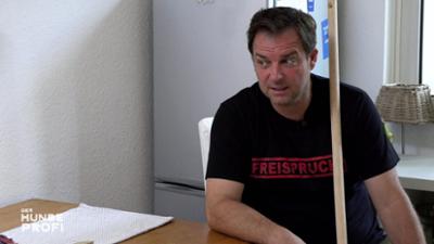 Der Hundeprofi: Folge 6: Der polnische Jagdhund Sam hält alle auf Trab