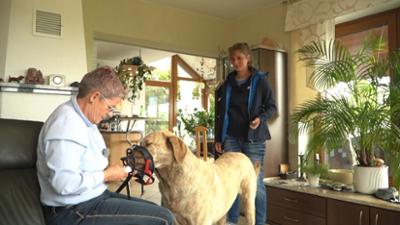 Der Hundeprofi - Rütters Team: Folge 1: Marina sucht Hilfe bei Trainerin Franziska Herre.