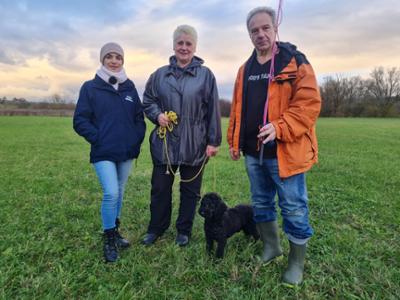 Der Hundeprofi - Rütters Team: Folge 5: Pudeldame Coco will nur mit Frauchen Gassi gehen.