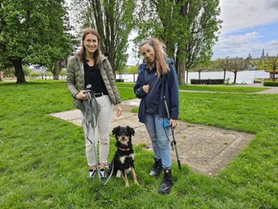 Der Hundeprofi - Rütters Team: Folge 6: Mischlingshündin Bo pöbelt Menschen an