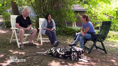 Der Hundeprofi - Rütters Team: Folge 9: Der Dalmatiner Bobberle hört auf kein Kommando.