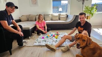 Der Hundeprofi - Rütters Team: Folge 4: Gustav und Leo lernen, mit Herausforderungen umzugehen.