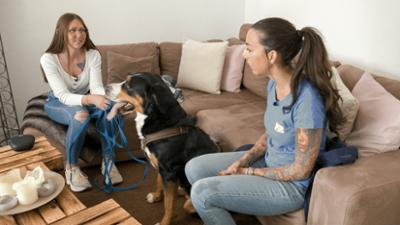 Der Hundeprofi - Rütters Team: Folge 8: Mischlingshündin Luna will nicht stubenrein werden.