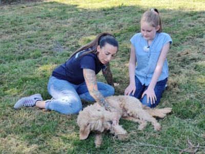 Der Hundeprofi - Rütters Team: Folge 6: Tierschutzhündin Honey verteidigt Ressourcen