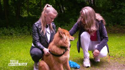 Der Hundeprofi - Rütters Team: Folge 9: Nils Schumann hat Probleme mit seiner Deutschen Dogge.