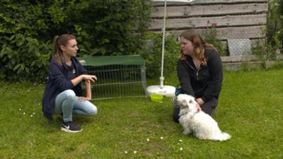 Der Hundeprofi - Rütters Team: Folge 5: Malteser Billy beißt sein Frauchen