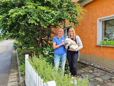 Der Hundeprofi - Rütters Team: Folge 1: U. a. mit: Dobermann Akosch