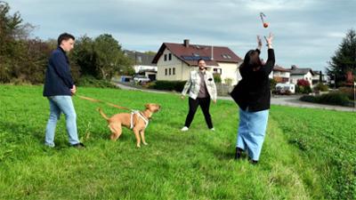 Der Hundeprofi - Rütters Team: Folge 23: Mischling Carlo springt Besucher an