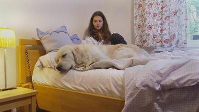 Der Hundeprofi unterwegs: Folge 1: Autismus - Störung oder Superkraft?