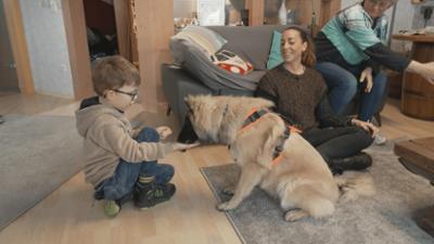 Die Welpen kommen - Mit Martin Rütter: Folge 2