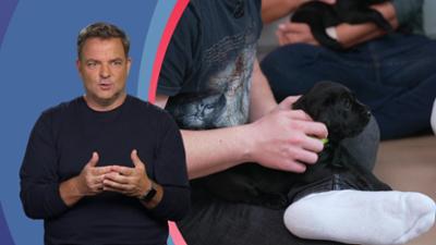Die Welpen kommen - Mit Martin Rütter: Folge 4