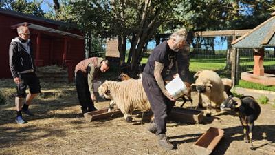 Harte Hunde - Die Urlaubsvertretung: Folge 1: Stresstest an der Ostsee