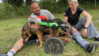 Harte Hunde - Ralf Seeger greift ein: Staffel 11, Folge 5: Zuflucht für Angsthunde