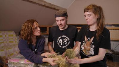 hundkatzemaus: Folge 18: Spaß am Kreis - Longieren mit Hund?