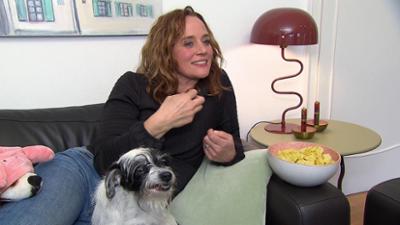 hundkatzemaus: Folge 1: "Triple A" - Tierschutz in Marbella