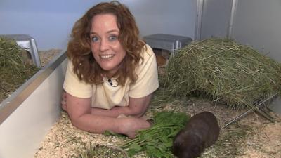 hundkatzemaus: Folge 20: Großmarkt-Katzen in Not