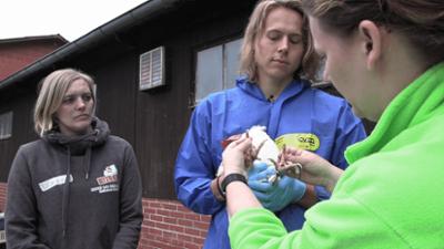 hundkatzemaus: Folge 13: Hühnerretter