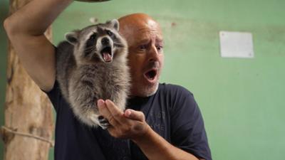 Martin Rütters Tierheimhelden: Staffel 3, Folge 2: Die wilden Tiere von Wien