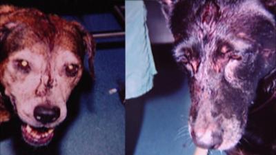 Medical Detectives: Staffel 2, Folge 43: Codes des Bösen