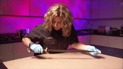 Medical Detectives: Staffel 2, Folge 28: Spuren des Blutes