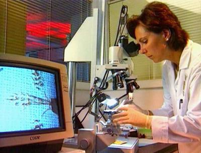 Medical Detectives: Staffel 1, Folge 71: Zeugen der Anklage