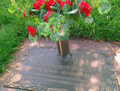 Medical Detectives: Staffel 1, Folge 97: Überführt