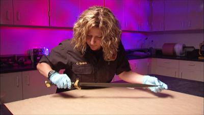 Medical Detectives: Staffel 2, Folge 28: Spuren des Blutes Medical Detectives: Staffel 2, Folge 28: Spuren des Blutes