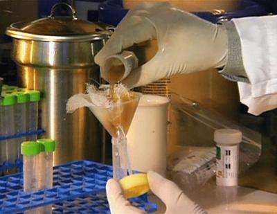 Medical Detectives: Staffel 1, Folge 30: Tödliche Bakterien