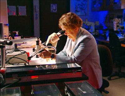 Medical Detectives: Staffel 1, Folge 116: Winziger Fingerzeig