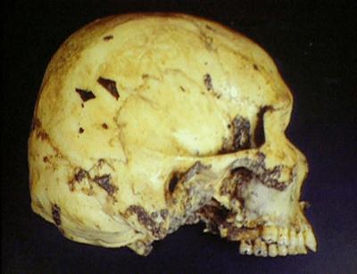 Medical Detectives: Staffel 1, Folge 12: Die Unterschrift des Täters