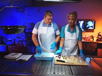 Medical Detectives: Staffel 1, Folge 136: Kalte Herzen