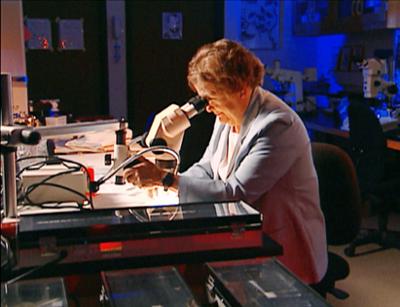 Medical Detectives: Staffel 1, Folge 116: Winziger Fingerzeig