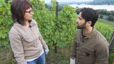 Verklag mich doch!: Folge 58: Streit um Weingut