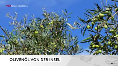 vox nachrichten: Folge 148: Sendung vom 06.08.2026