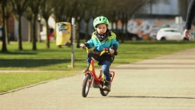 Der Elefant: Wie lernt man Fahrradfahren?