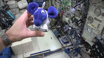 Der Elefant: Mit einem echten Astronauten im Weltraum