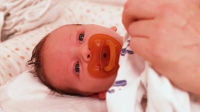 Der Elefant: Wir kriegen ein Baby