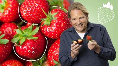 Der Vorkoster: Erdbeeren im Check: Wie sicher ist unsere regionale Lieblingsfrucht?